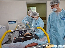 Госдума приняла закон о закреплении студентов-медиков за госбольницами