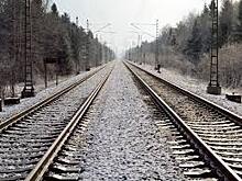 В Оренбуржье пенсионерка угодила под колеса поезда