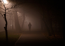 «Город превратился в хоррор!» Как москвичи пережили самую туманную ночь осени