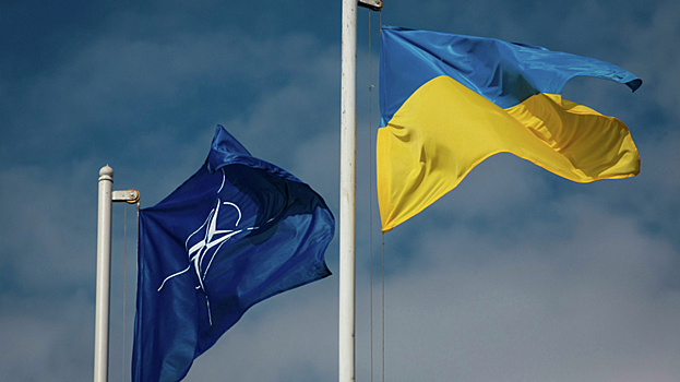 Рогов: принятие Украины в НАТО означало бы объявление войны против России