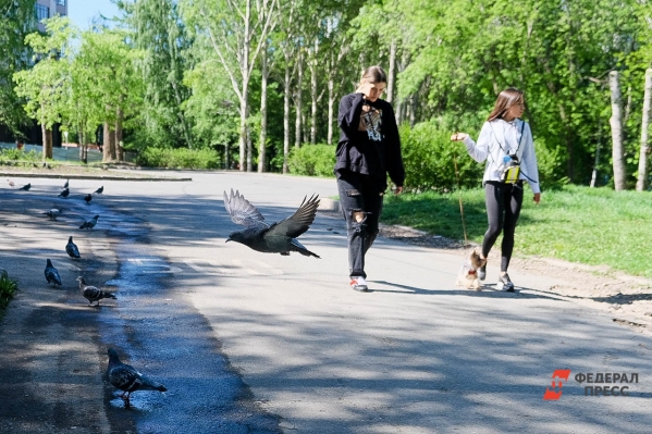 В Екатеринбурге увеличат площадь зеленых зон на каждого жителя