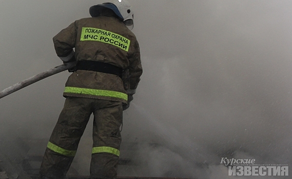 С 14 июля в Курской области введен особый противопожарный режим