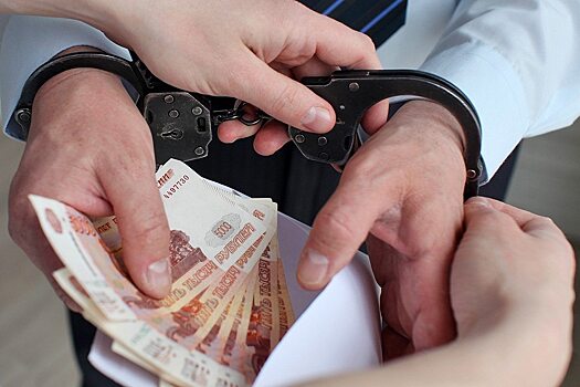 Саратовец хотел купить у налоговой закрытую информацию за 1,3 млн рублей