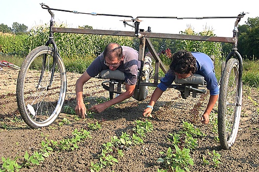 Геронтолог Ольга Ткачева рассказала, как снизить риски для здоровья на даче