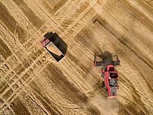 Как цифровые технологии повлияли на урожайность зерновых в Черноземье