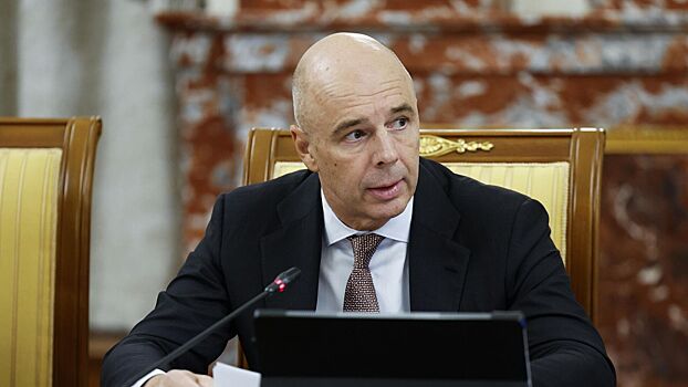 Силуанов заявил о «белых местах» при ввозе товаров в Россию