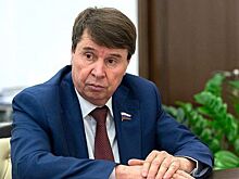 Сенатор Сергей Цеков предлагает принять программы по организации отдыха и оздоровления в России детей из Донбасса