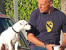 Кино: Том Круз спасает мир от древних проклятий, а Брюс Уиллис ищет своего пса