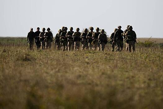 Власти разъяснили британцам выгоду от размещения войск на Украине