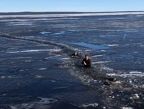В Петрозаводске прохожие спасли собак, которые провалились под лед Онежского озера