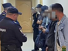 Мигранта, который приставал к девочке в маршрутке на Южном Урале, выдворят из страны