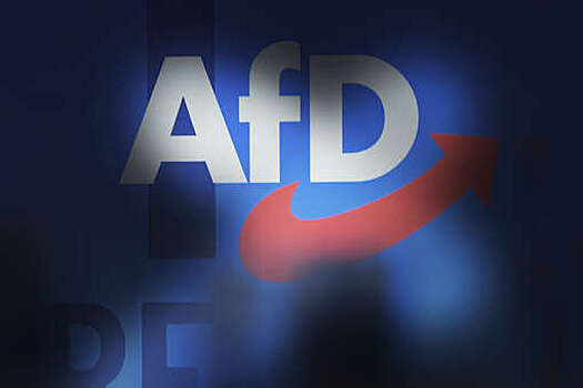 Бундестаг лишил иммунитета двух депутатов от партии "Альтернатива для Германии"