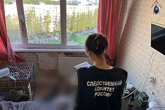 Жительница Петербурга исполосовала ножом мать в пылу пьяной ссоры