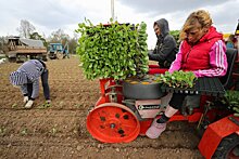 С какими проблемами аграрии столкнулись на посевной