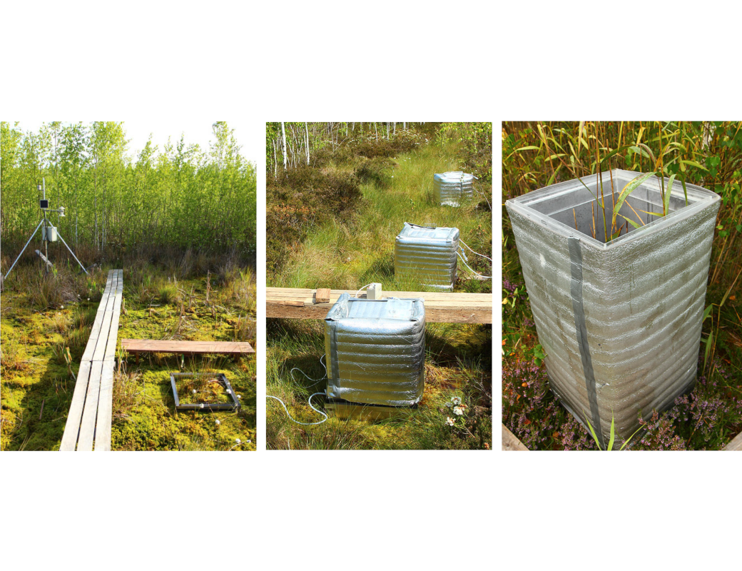 Ученые оценили выбросы метана с заброшенного торфяника