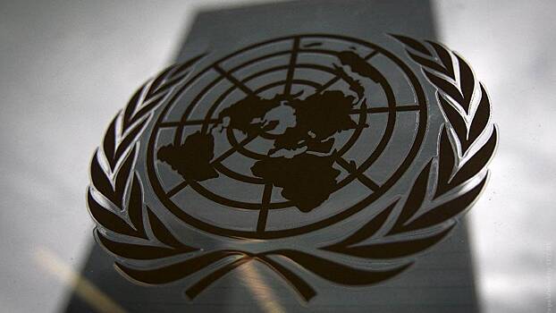 Делегация СБ ООН призвала вооруженные группировки в ДРК прекратить насилие