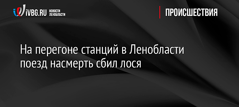 На перегоне станций в Ленобласти поезд насмерть сбил лося