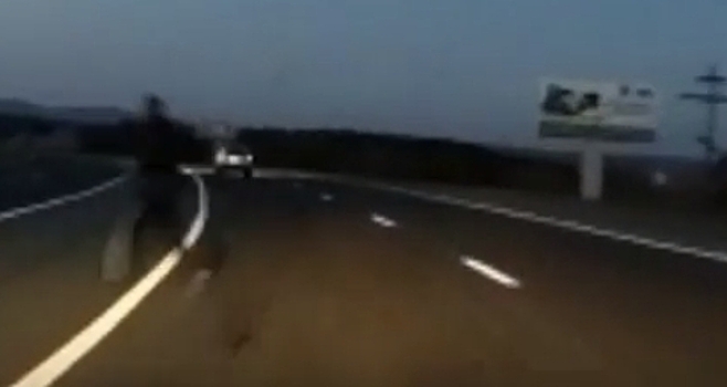 В Приморье автомобиль на огромной скорости чуть не сбил пешехода