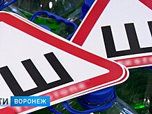 В Воронеже многократно вырос спрос на наклейки «шипы»