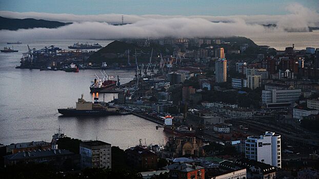 Ученый рассказала, опасно ли «морское капучино» для жителей Владивостока