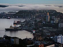 Ученый рассказала, опасно ли «морское капучино» для жителей Владивостока