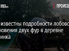 Стали известны подробности лобового столкновения двух фур в деревне Лопухинка