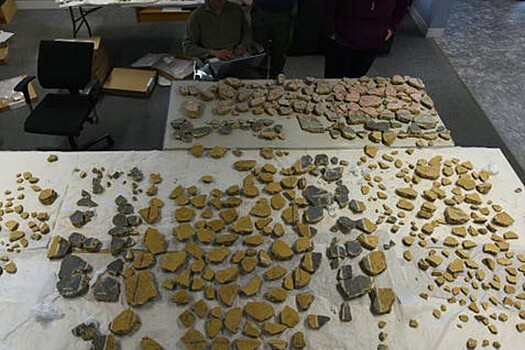 В Израиле нашли клад старинных монет и украшений