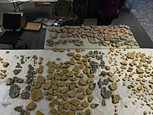 В Израиле нашли клад старинных монет и украшений