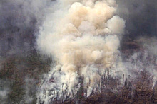 В российском регионе лесные пожары перестали тушить ради экономии