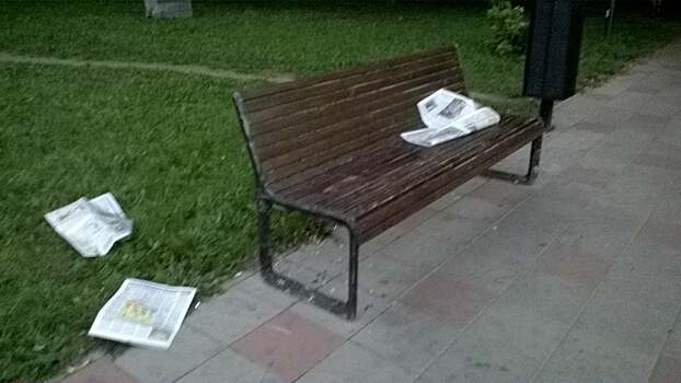 В сквере на улице Народного Ополчения убрали разбросанные газеты
