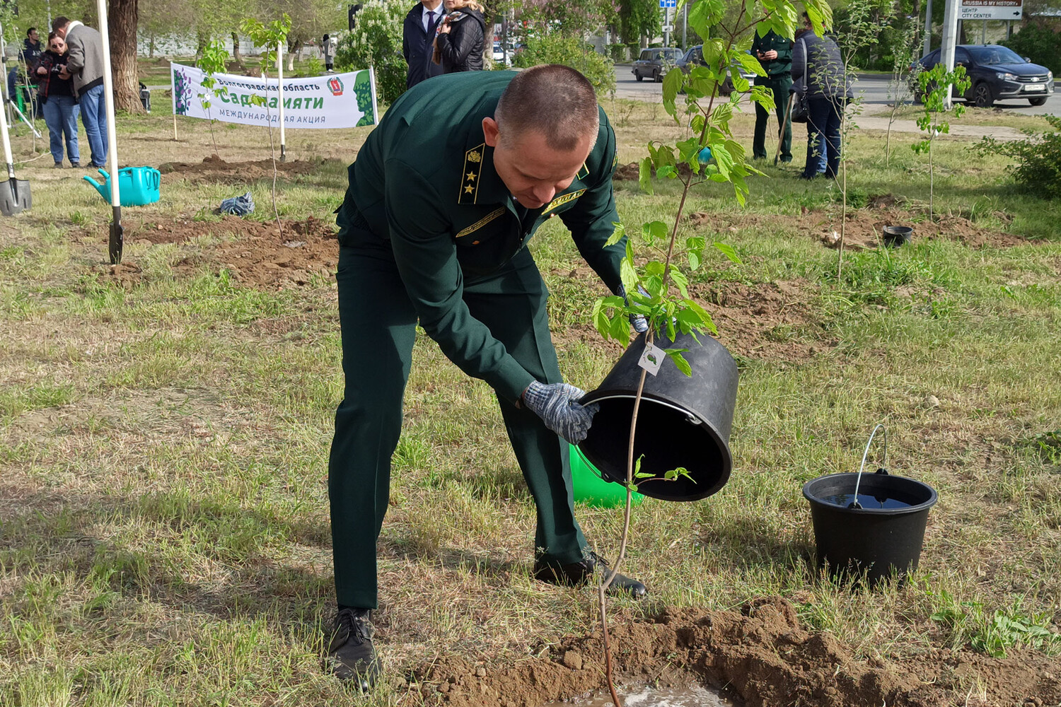 В России высадят 80 потомков Тополя Победы в честь 80-летия Победы в ВОВ