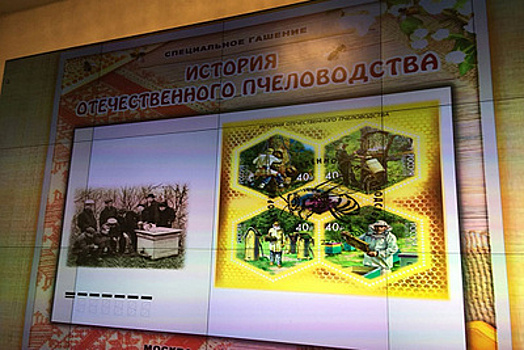 Церемония гашения посвященных пчеловодству почтовых марок прошла в Госдуме