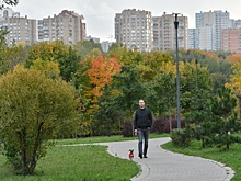 Сергей Собянин пригласил москвичей посетить парк усадьбы «Люблино»