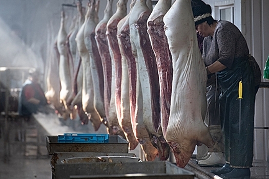 Назван срок запуска крупнейшего в Карачаево-Черкесии завода по переработке мяса