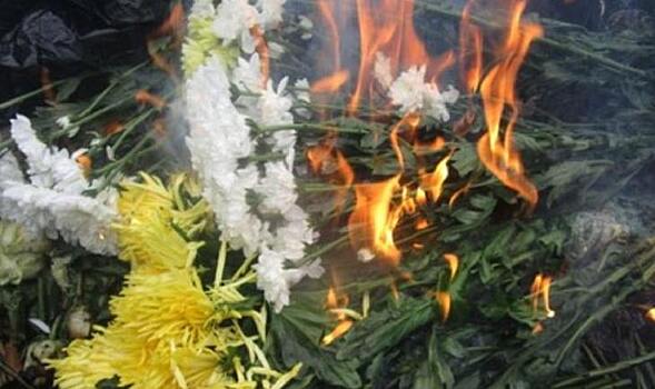 Более 5 тысяч импортных цветов пришлось сжечь из-за трипса