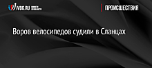 Воров велосипедов судили в Сланцах