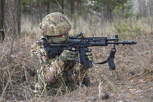 Минобороны РФ заказало у "Калашникова" зенитные ракеты и автоматы АК-12