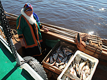 Ямальского живца подвергли шоковой заморозке