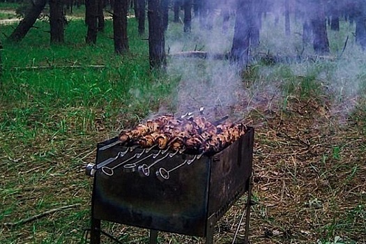 Новосибирцам запретят жарить шашлыки на майские праздники