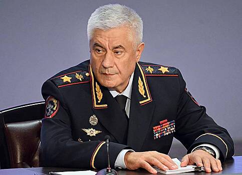 Глава МВД России рассказал об умножившихся фактах выявления незаконной миграции