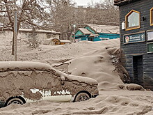 «Марсианские хроники» с Камчатки: диким животным угрожает гибель из-за пепла с Шивелуча