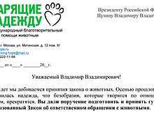 Остановить безнаказанность: зоозащитники и звезды написали открытое письмо президенту