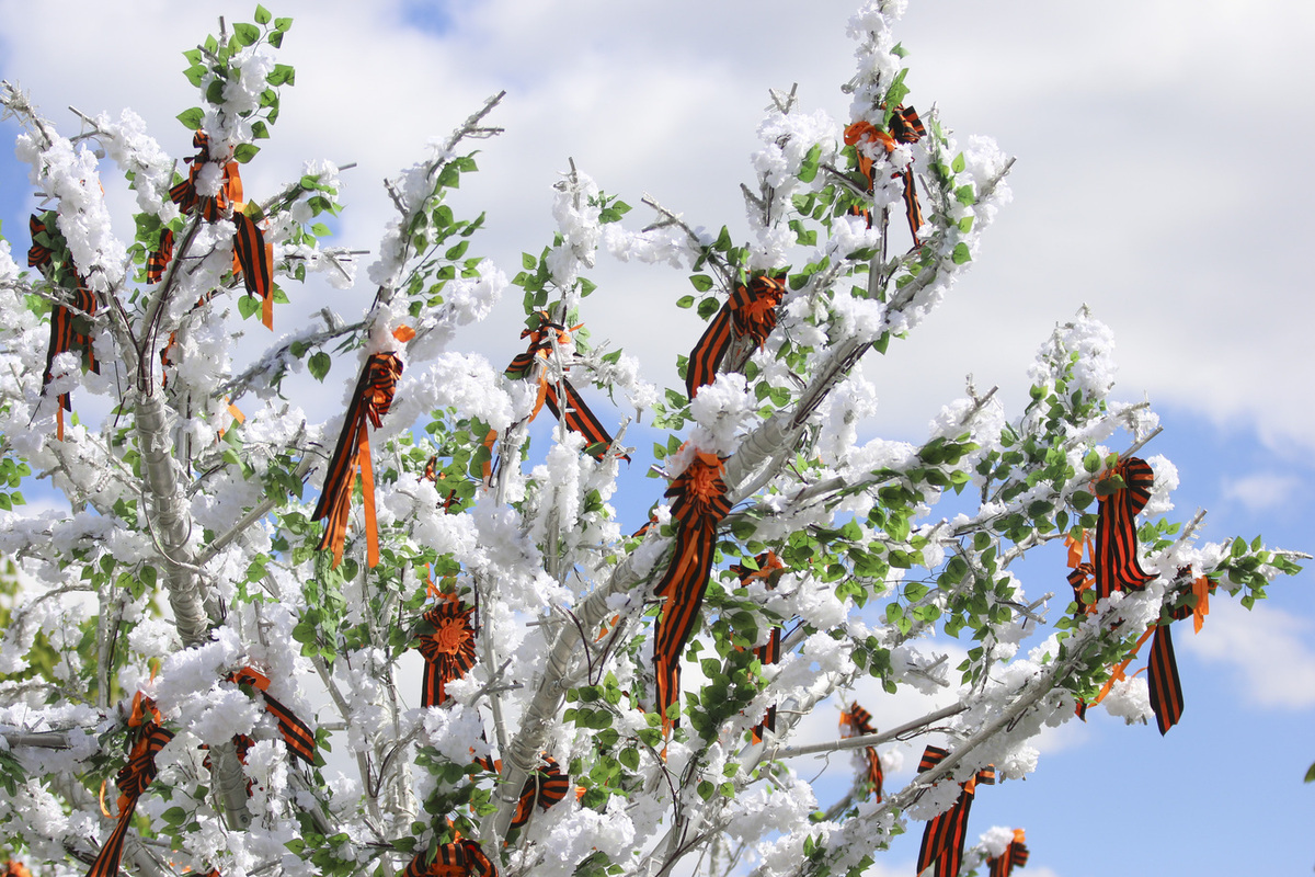 Алтабаева: борьба с советскими символами говорит о насаждении нацизма