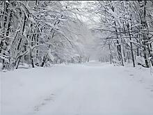 Автозимник Шелехметь — Белые домики откроется 7 января