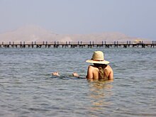 Защищающие туристов от акул сетки начали снимать на курортах Египта