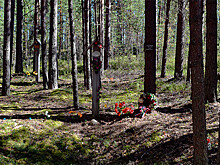 СК: останки, которые нашли при раскопках в Сандармохе, до сих пор не перезахоронили