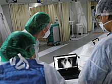 У четверти россиян обнаружился иммунитет к коронавирусу