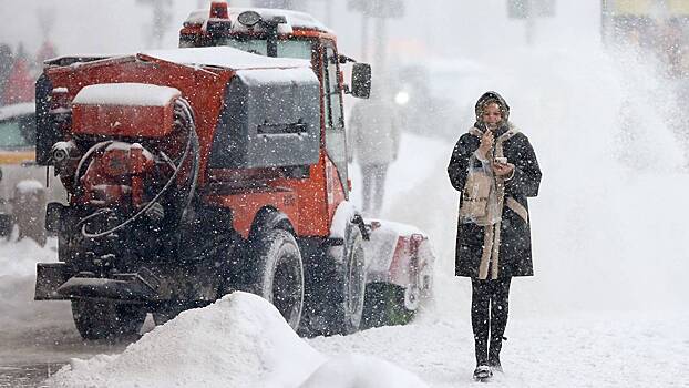 Синоптики пообещали москвичам морозную и снежную погоду 9 декабря