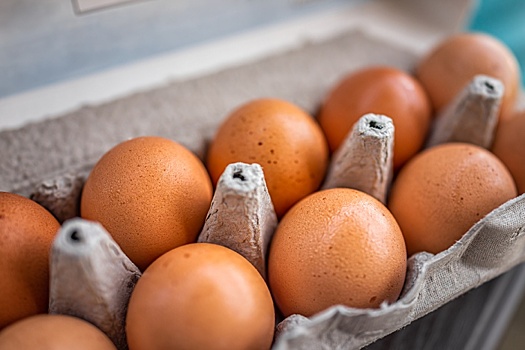 В США начато антимонопольное расследование по факту скачка цен на яйца
