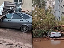 В Волгограде устраняют последствия ночного урагана